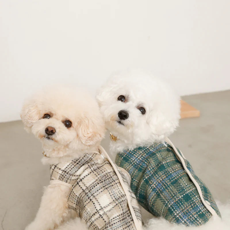 Check Pattern Vest - Ivory S
