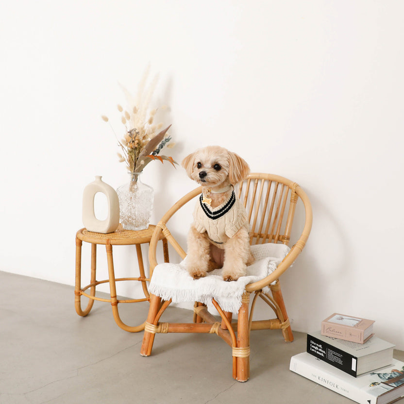 Knit Sweater Vest - Ivory L