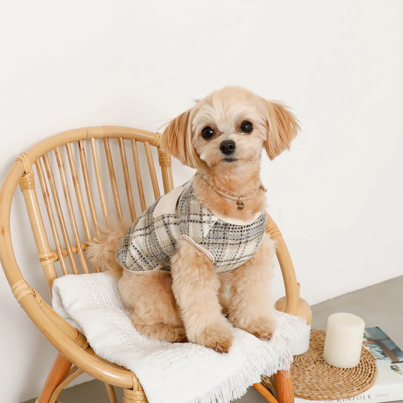 Check Pattern Vest - Ivory S