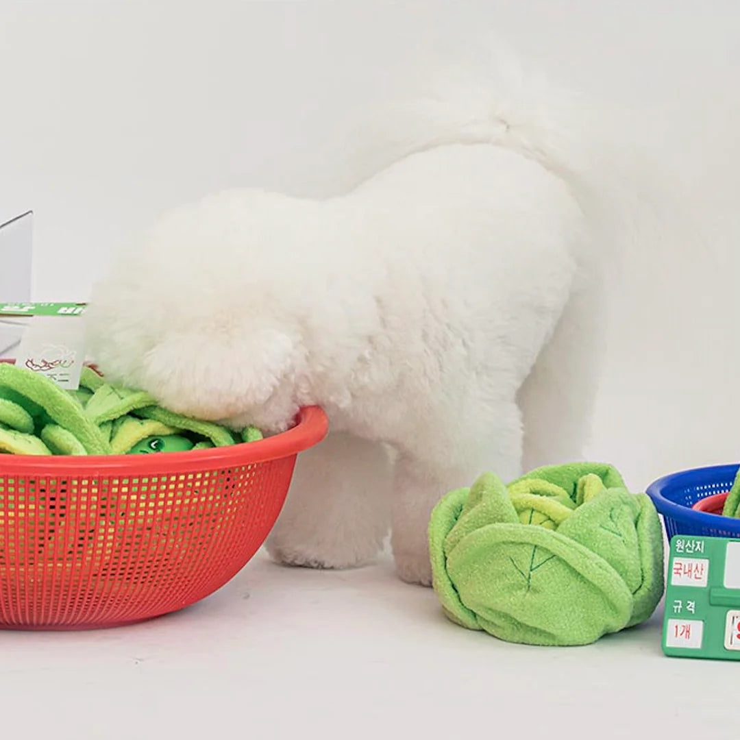 Cabbage Nosework Toy