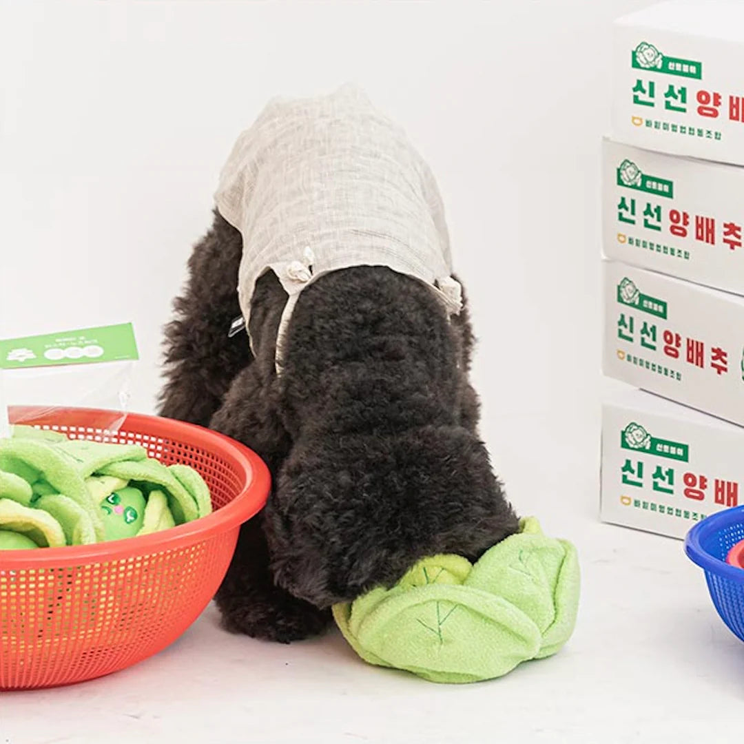 Cabbage Nosework Toy