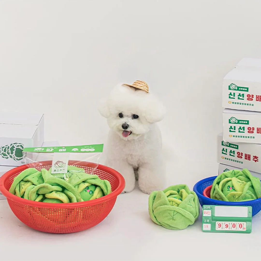 Cabbage Nosework Toy