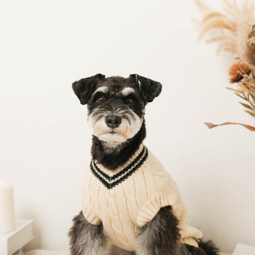 Knit Sweater Vest - Ivory L