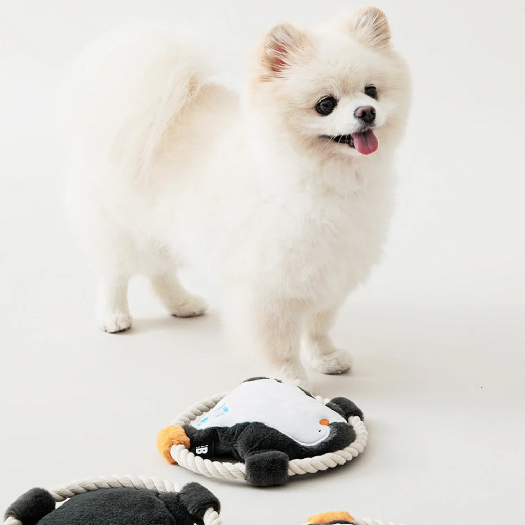 Hug Me Rope Tug Toy - Penguin