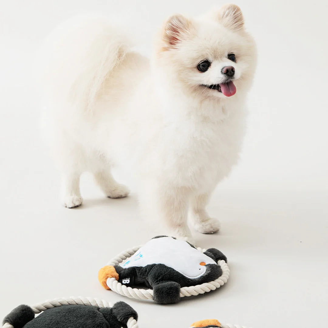 Hug Me Rope Tug Toy - Penguin