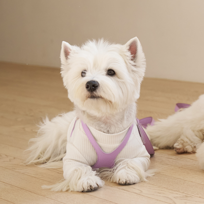 Limited Harness with Crystal – Elite Lavender