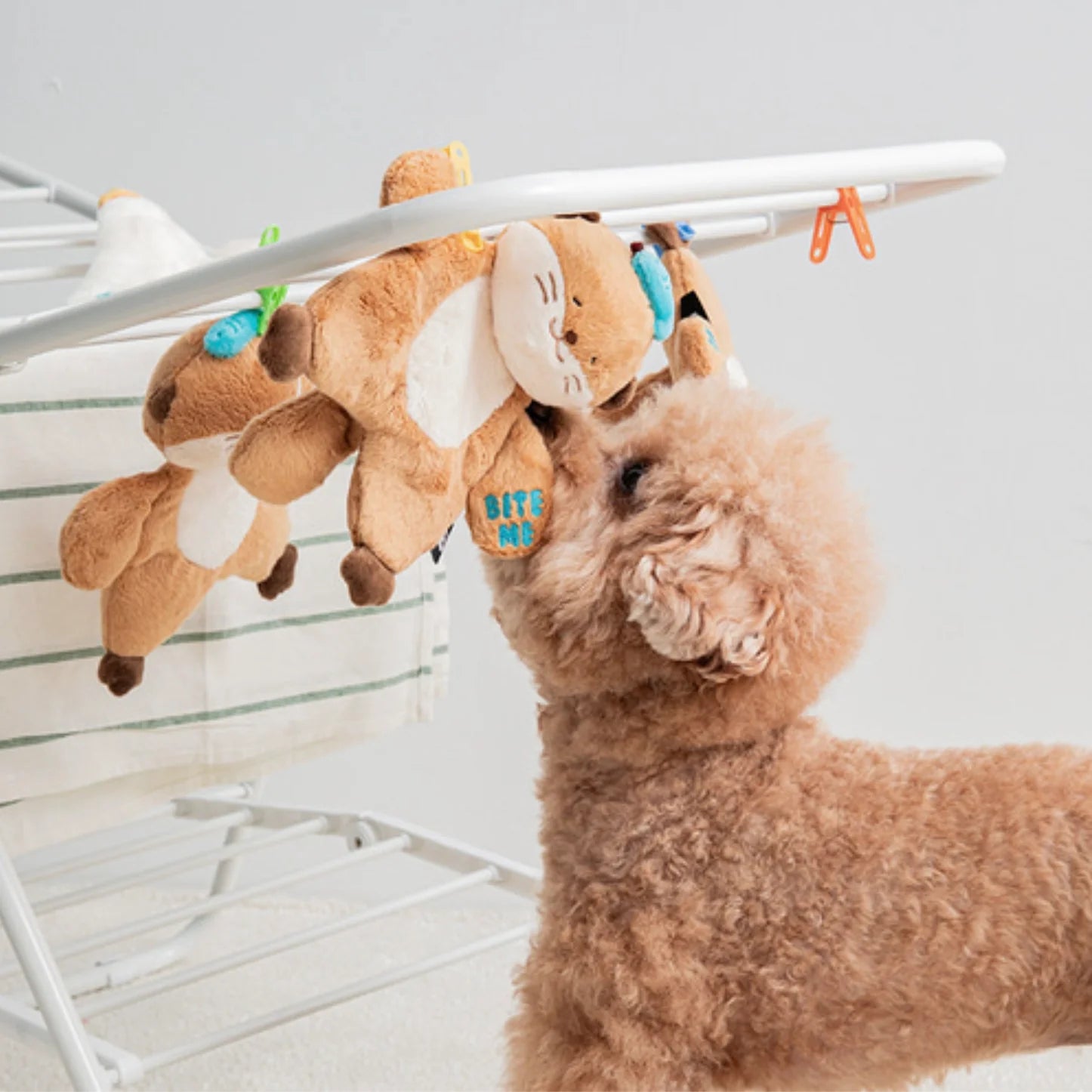 Hug Me Rope Tug Toy - Sea Otter
