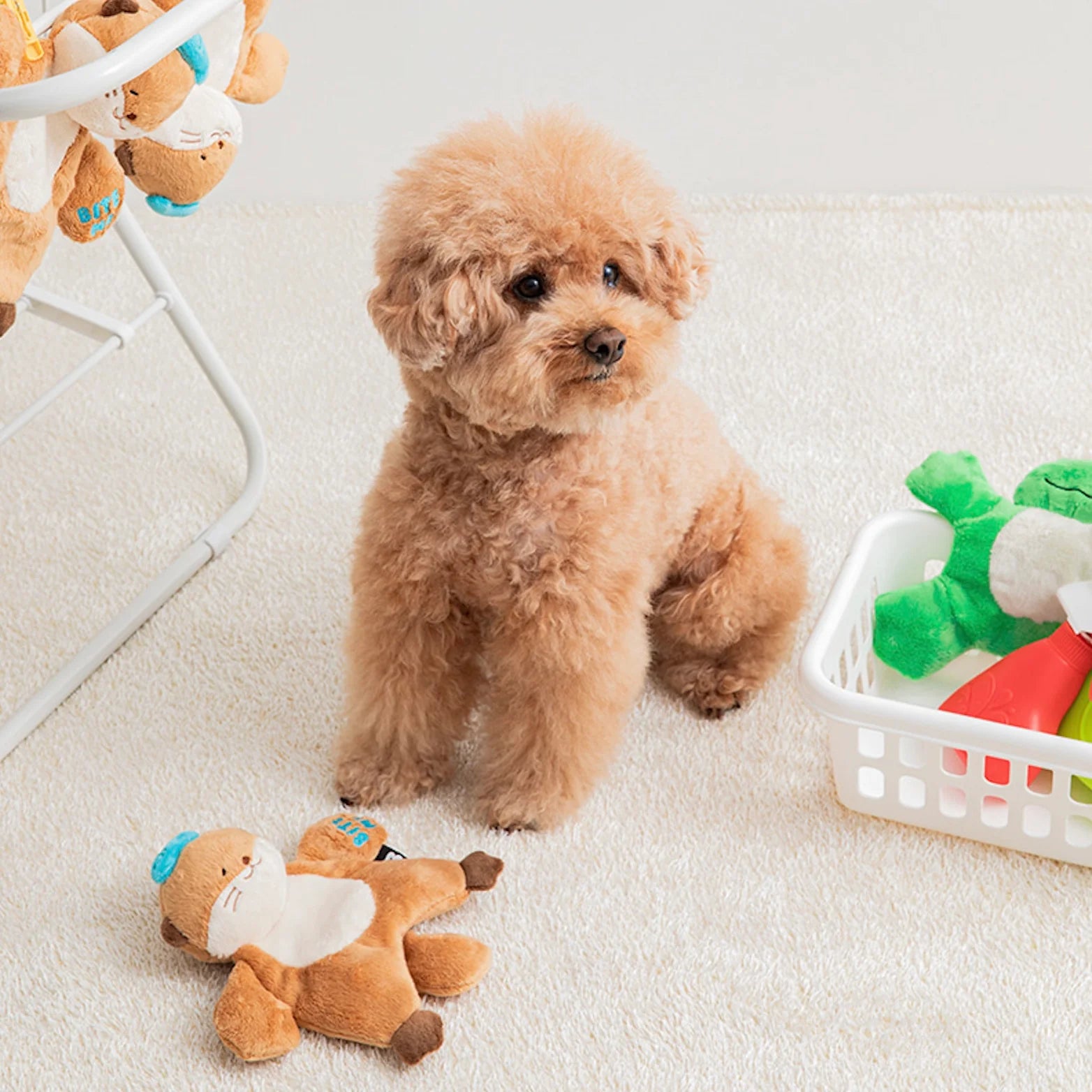 Hug Me Rope Tug Toy - Sea Otter