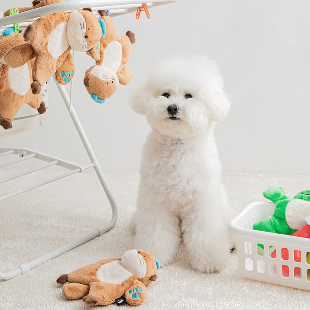 Hug Me Rope Tug Toy - Sea Otter