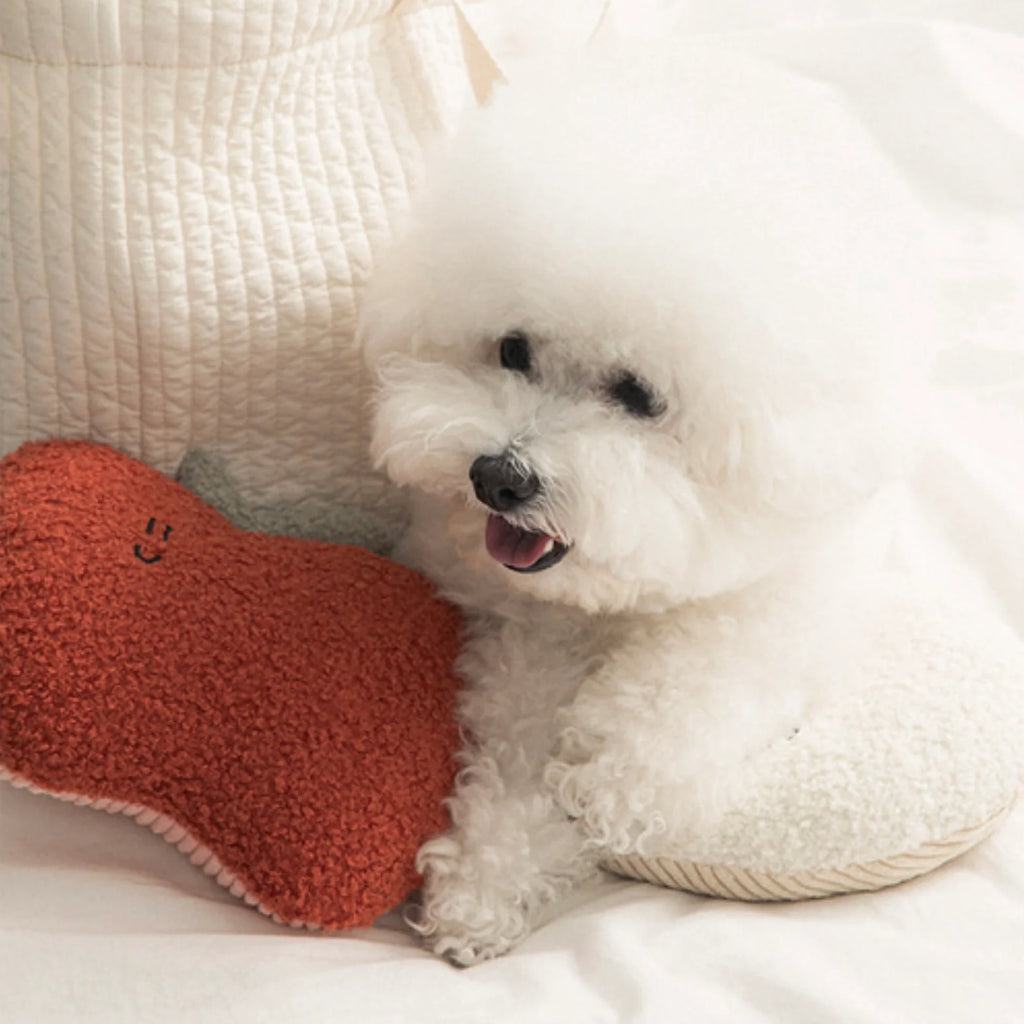 BonBon Green My Home Buddy Cushion - 3 Styles