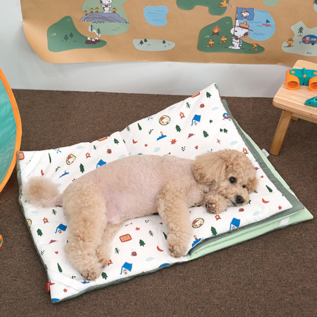 Snoopy Beagle Scout Book Pet Mat