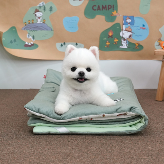 Snoopy Beagle Scout Book Pet Mat