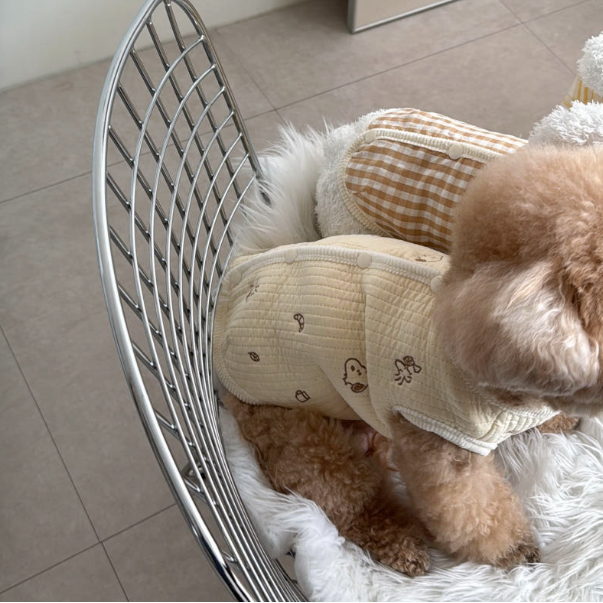 Snoopy Bakery Reversible Vest