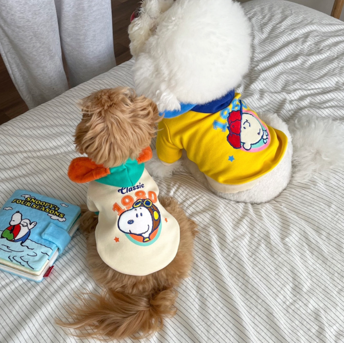 Snoopy 1980 Hoodie - 2 Colors