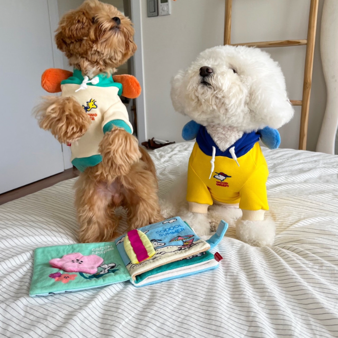 Snoopy 1980 Hoodie - 2 Colors