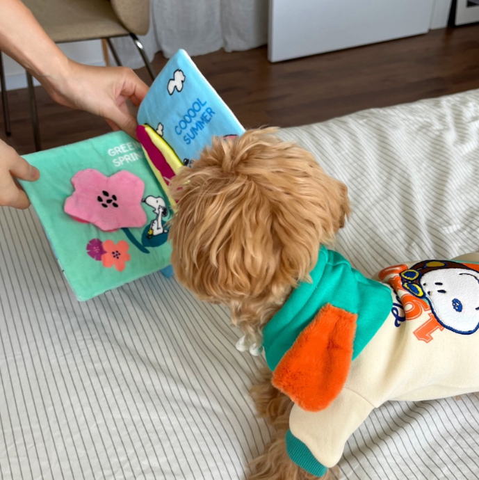 Snoopy 1980 Hoodie - 2 Colors