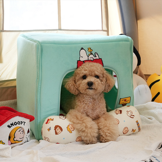 Snoopy Pet House - 2 Colors
