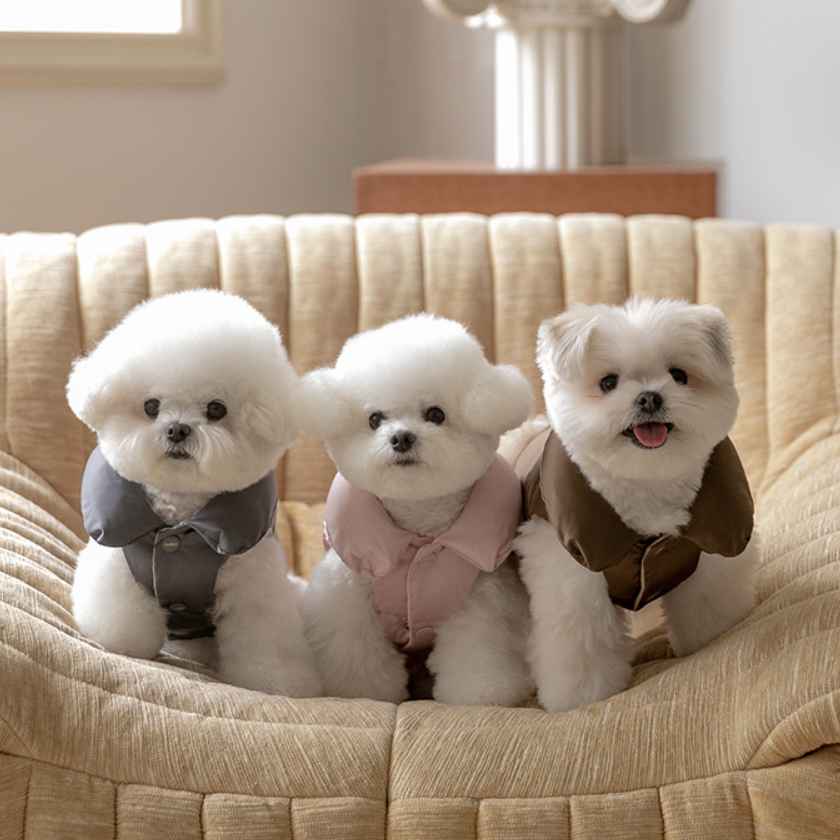 Aura Goose Down Jacket - 3 Colors