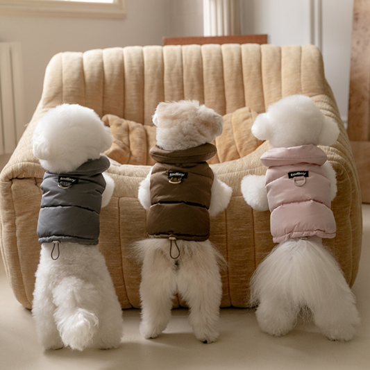 Aura Goose Down Jacket - 3 Colors