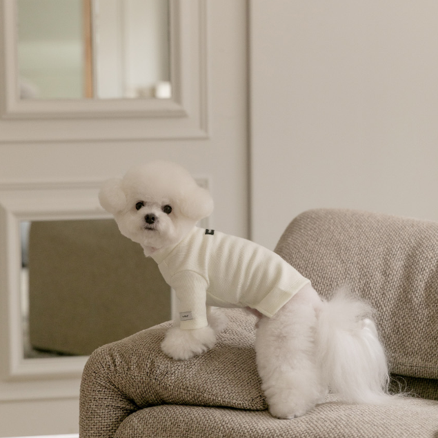 New Turtleneck - 3 Colors