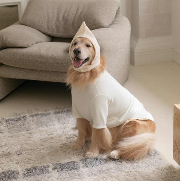 New Turtleneck - 3 Colors