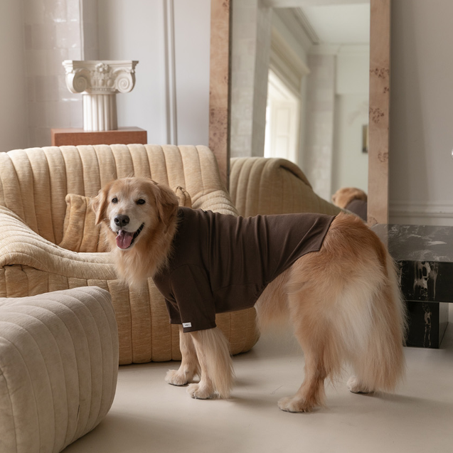 New Turtleneck - 3 Colors