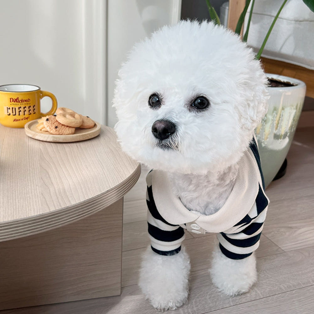 Classic Striped Polo Shirt - 2 Colors