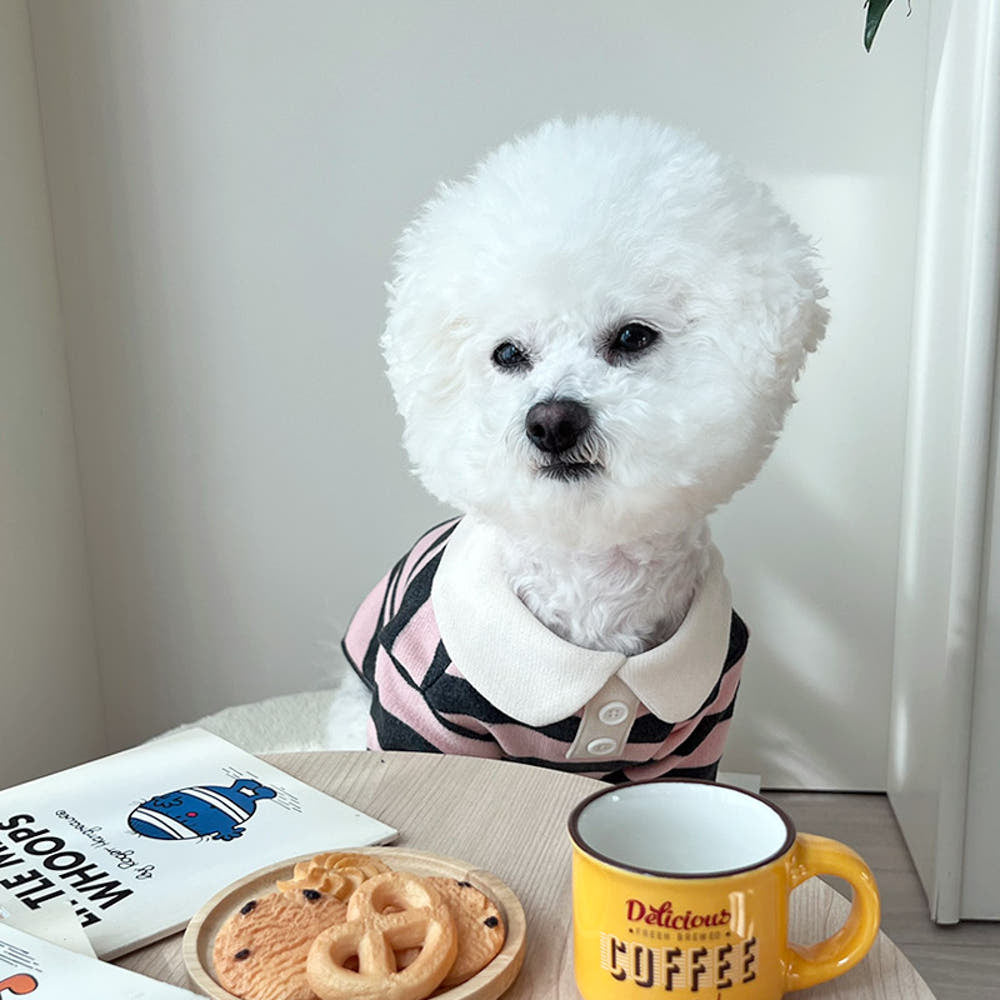 Classic Striped Polo Shirt - 2 Colors