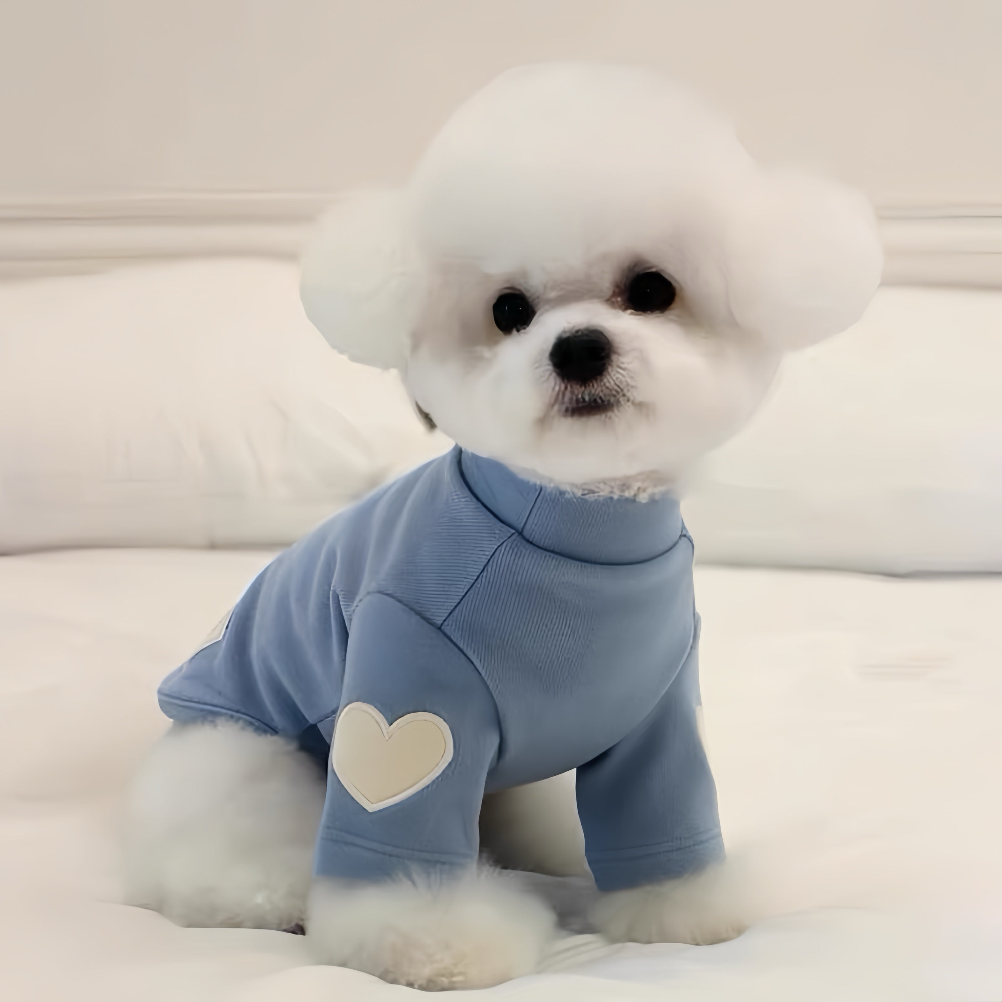 Soft Fleece Turtleneck Tee - 4 Colors