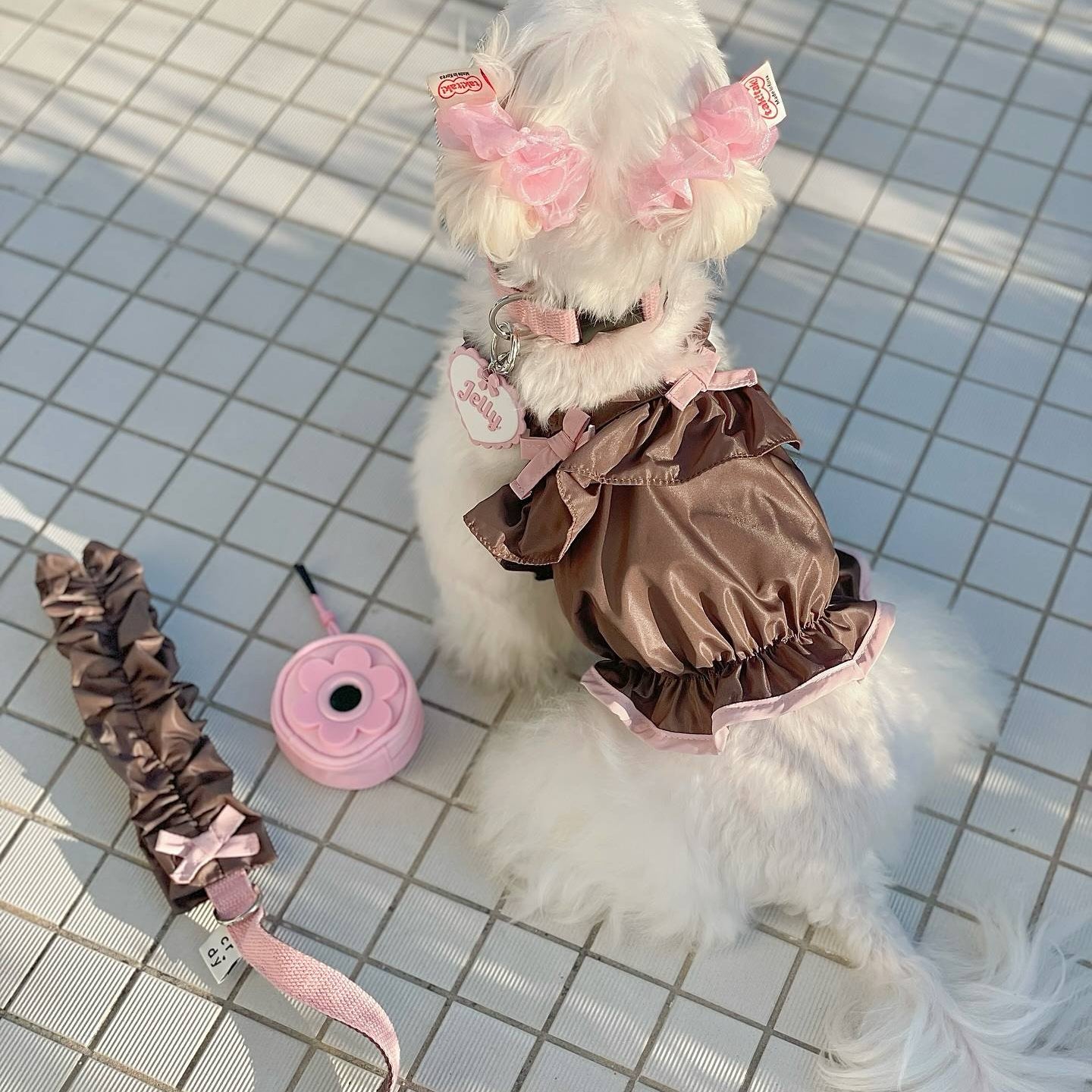 Mauve Cocoa Leash