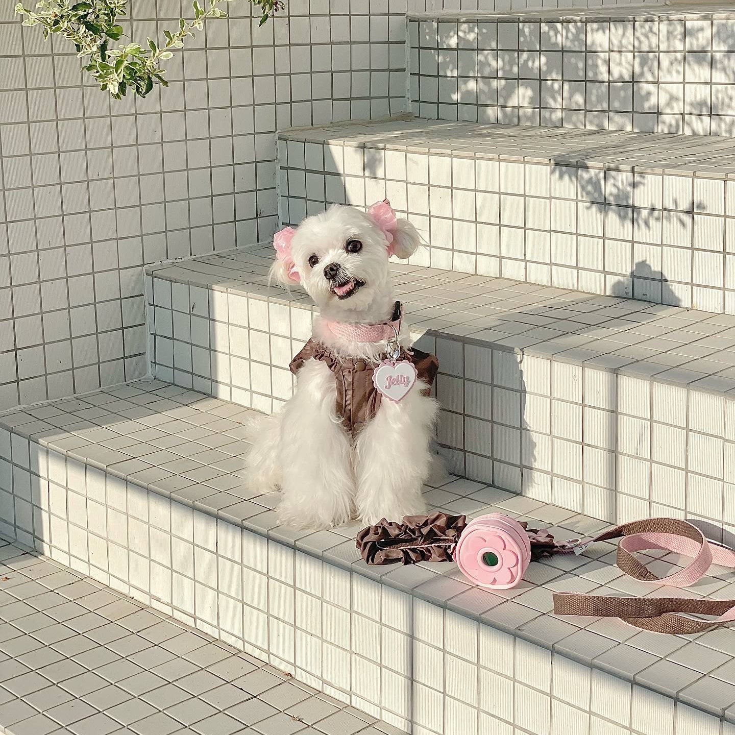Mauve Cocoa Leash
