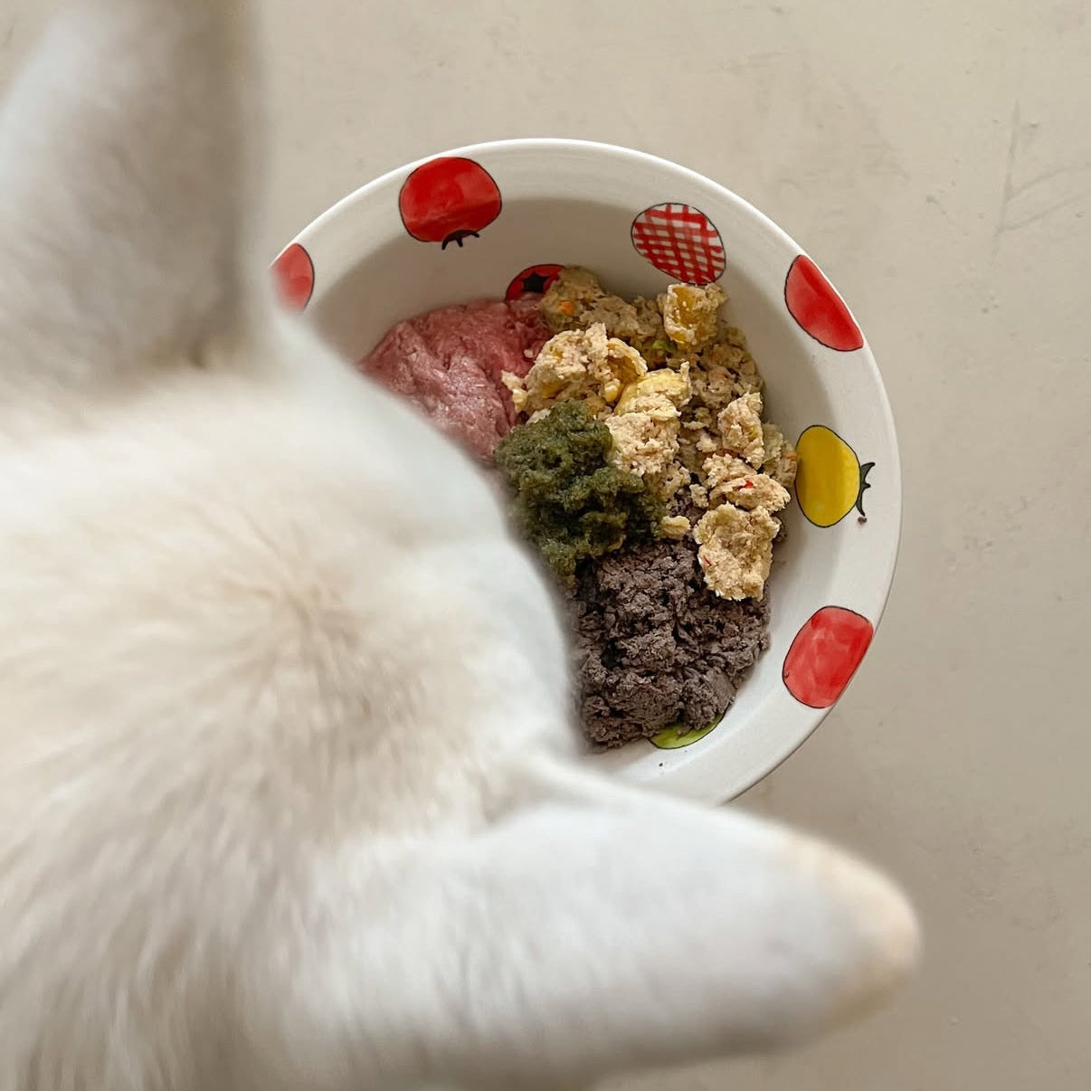 Hand-painted Tomato Bowl