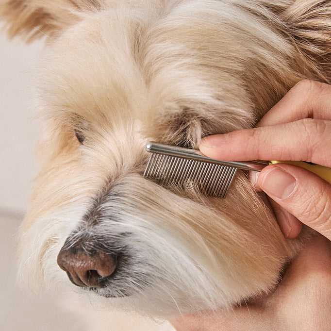 Sensible Face Comb