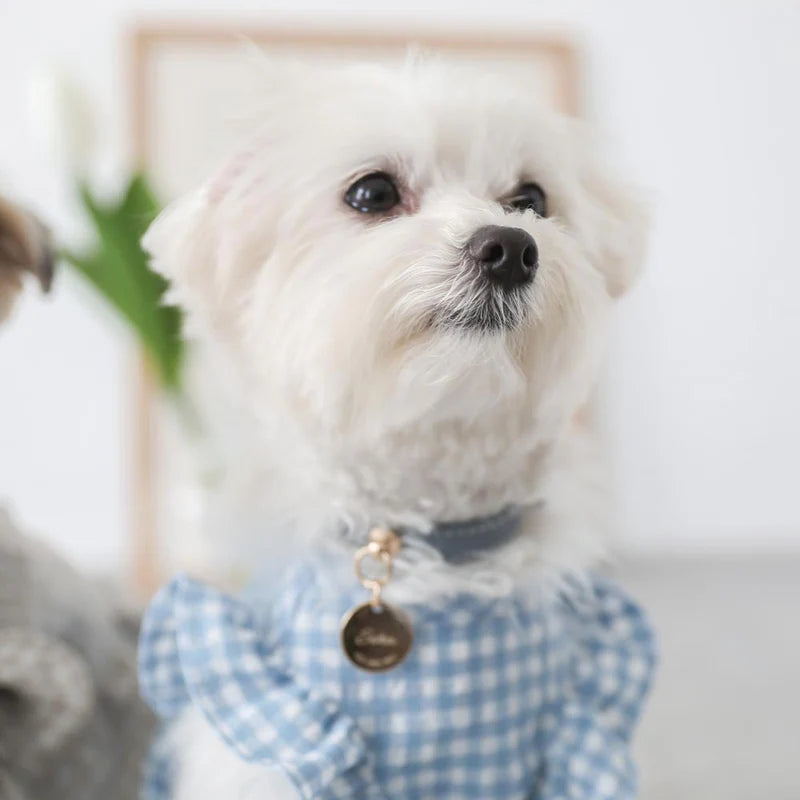 Gingham Check Frill Dress - Blue M