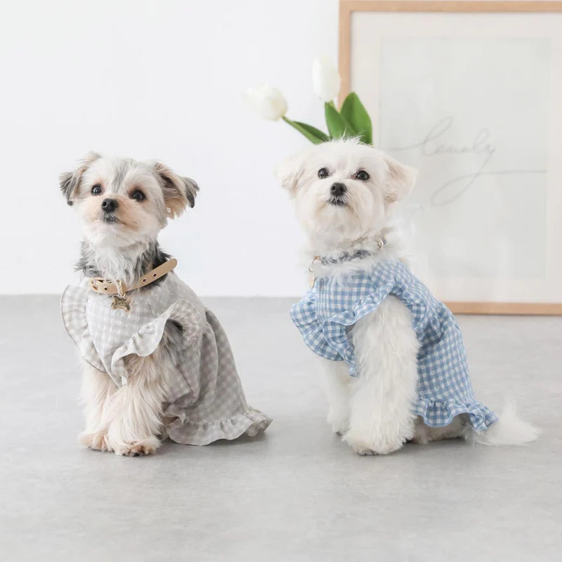 Gingham Check Frill Dress - Blue M