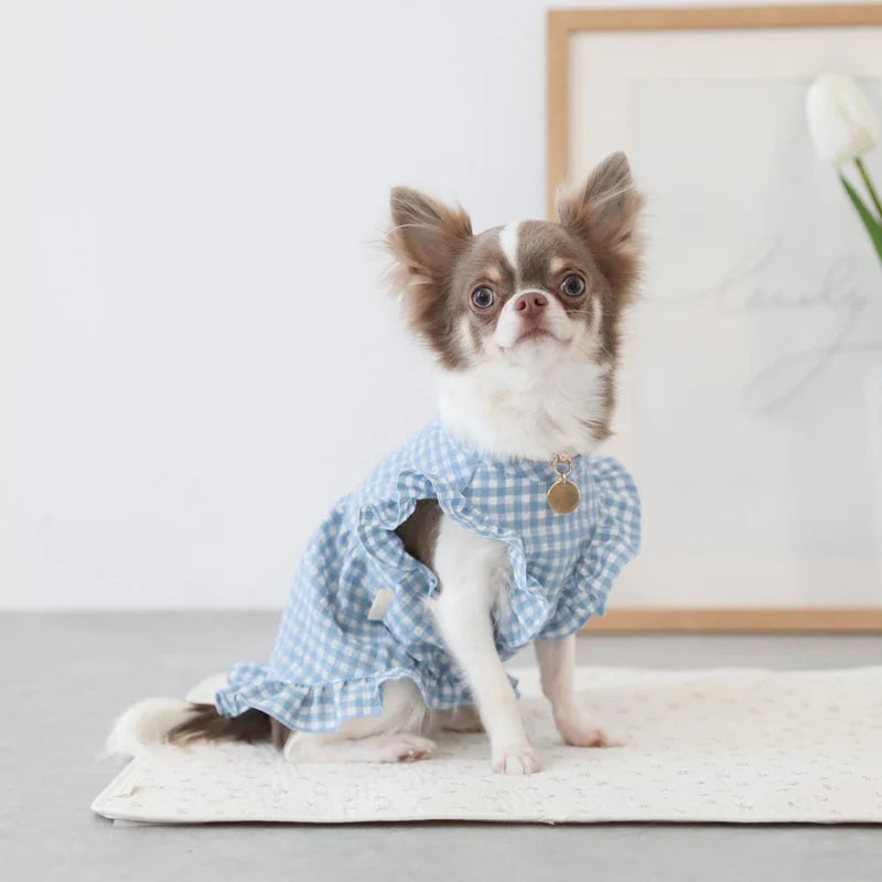 Gingham Check Frill Dress - Blue M