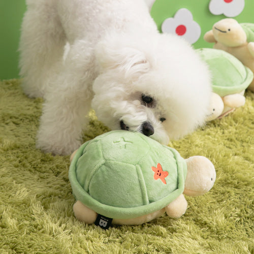 Jumping Boogie Auto-Ball Toy with Snuffle Mat Set