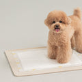 Non Slip Silicone Mat for Pee Pad - 2 Colors