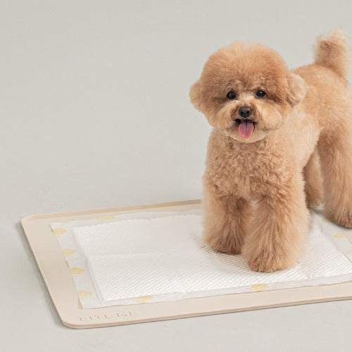 Non Slip Silicone Mat for Pee Pad - 2 Colors