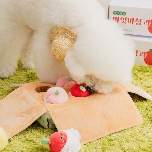 Mixed Fruits Box Nosework Toy