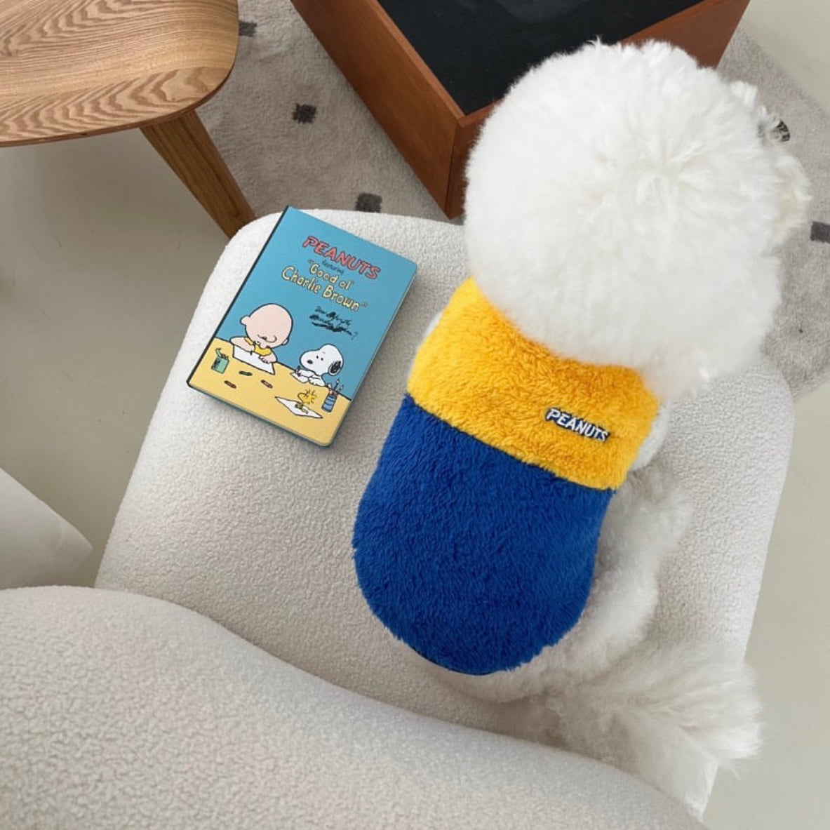 Snoopy Wave Reversible Jacket - 2 Colors