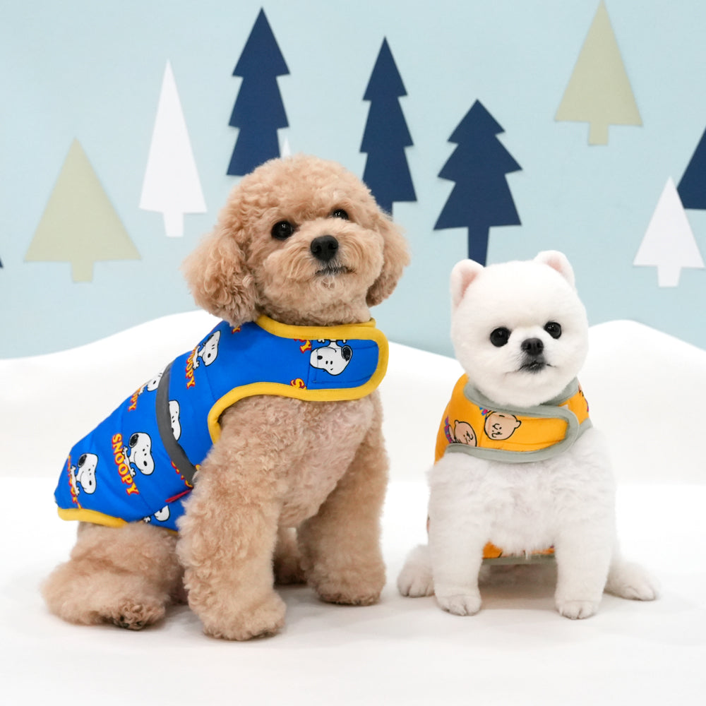 Snoopy Back Hug Padding Set - 2 Colors