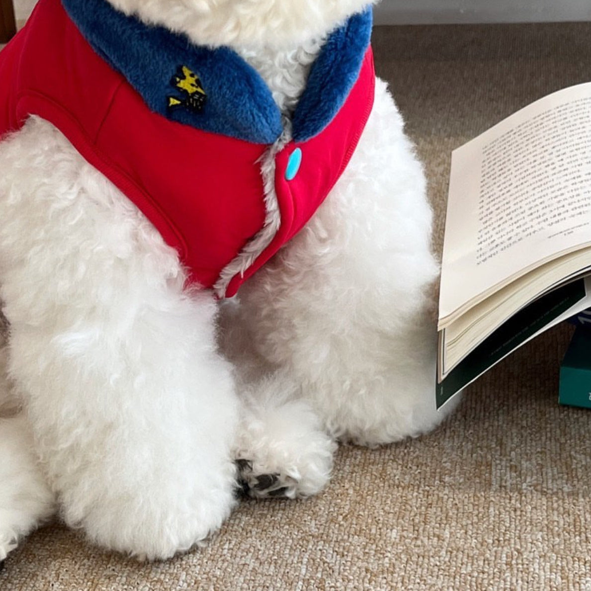 Snoopy Clever Padding Jacker