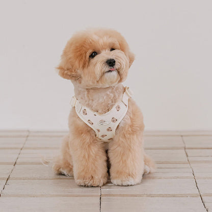 Bear Bebe Harness - 3 Colors
