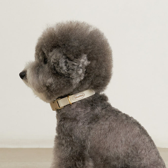 Cotton Candy Collar - 4 Colors