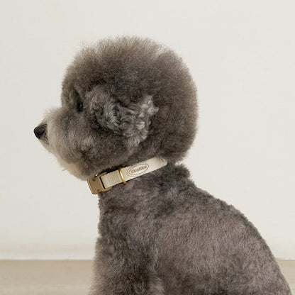 Cotton Candy Collar - 4 Colors