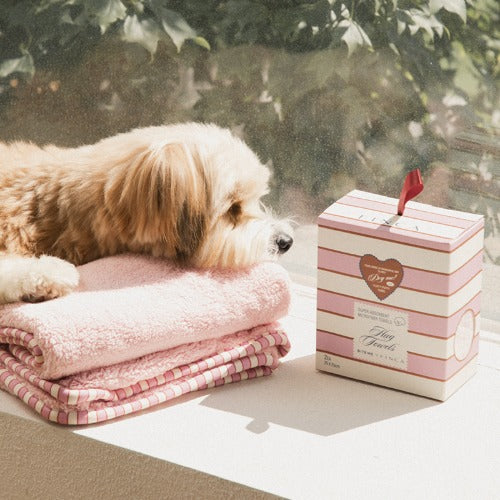BITEME X FINCA Dry Me Microfibre Pet Towel - 2 Colors