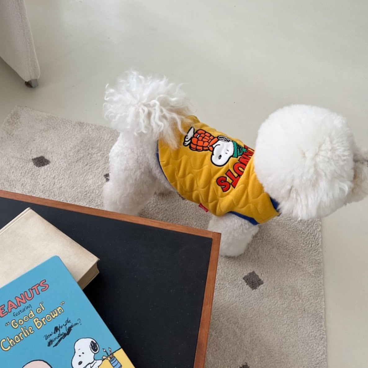 Snoopy Wave Reversible Jacket - 2 Colors