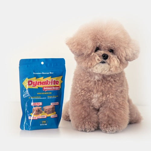 Dynabite Salmon (Antioxidant) - 1pc/8pcs