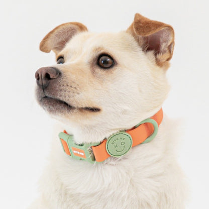 Macaron Waterproof Collar - Apricot